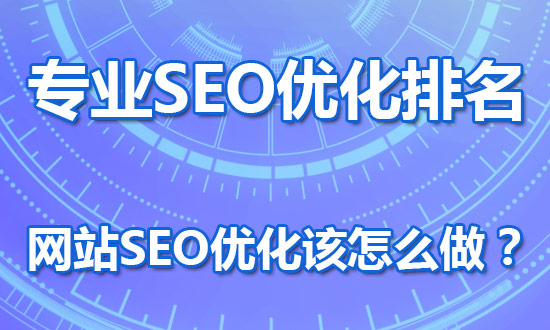 专业seo优化关键词排名