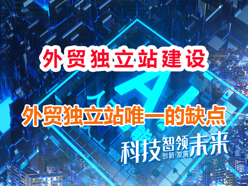 中企出海做自己的外贸独立站唯一的缺点，1-3个月的SEO优化及推广